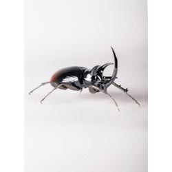 miniatura