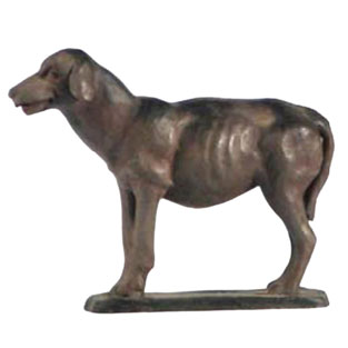 Perro