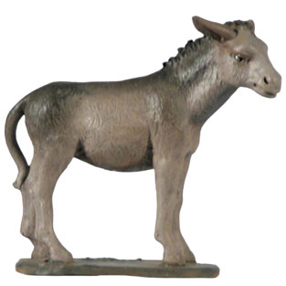 Burro