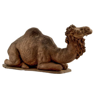Camello tumbado