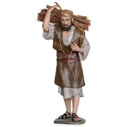 Pastor N. 11 pc