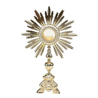 Custodia Elegancia y Brillo en Latn Dorado y...