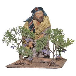 Pastor huerto 14 cm