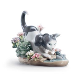 El gato y la rana