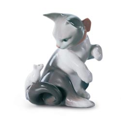 Gatito pasmado