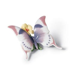 Mariposa