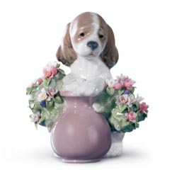 Perrito travieso
