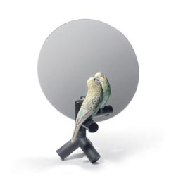 Parrot vanity