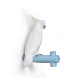 Parrot hang ir