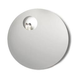 Parrot shine i