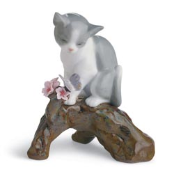 Estacin florida - gato