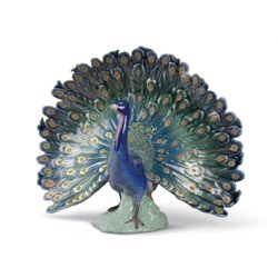 Pavo real
