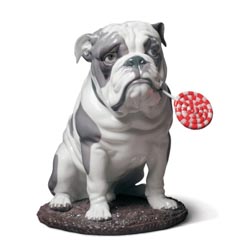 Bulldog con piruleta