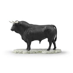 Toro bravo