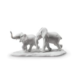 Siguiendo el camino (blanco)