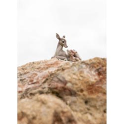 miniatura