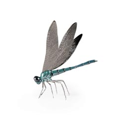Liblula