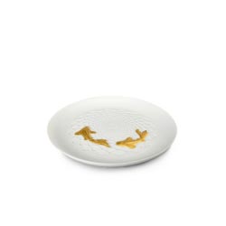 Plato koi