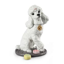 Caniche con mochis