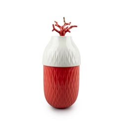 Jarrn coral