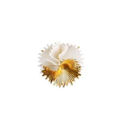 Broche actinia (blanco-oro)