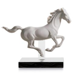 Galope i