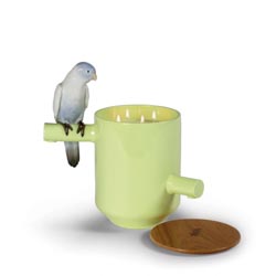 Vela parrot treasure (verde)