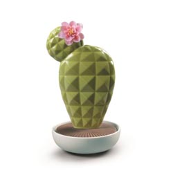 Cactus opuntia-jardines de valencia
