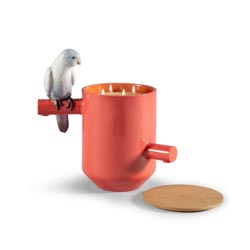 Vela parrot treasure (rojo)
