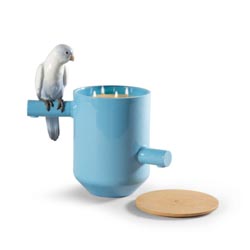 Vela parrot treasure (azul)