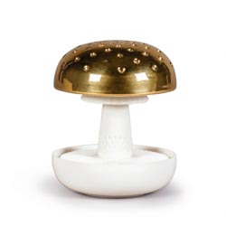 Boletus 1 (oro)-en el prado