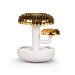 Boletus 2 (oro)-llega la noche