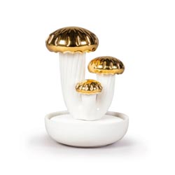 Boletus 3 (oro)-jardines de valencia