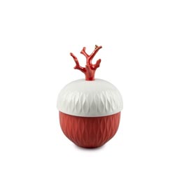 Vela coral