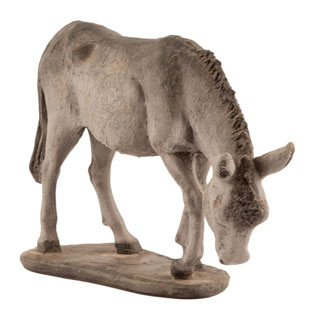 Burro N. 1