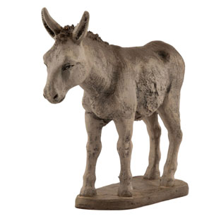 Burro pc