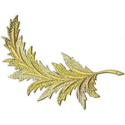 Palma mediana 10x19