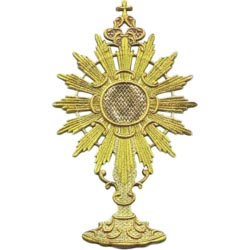 Custodia potencias mediana 16x27