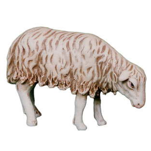 Cabras n4
