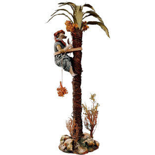 Hebreo subido en palmera