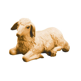 Oveja acostada