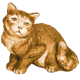 Gato de pie