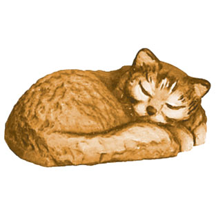 Gato durmiendo