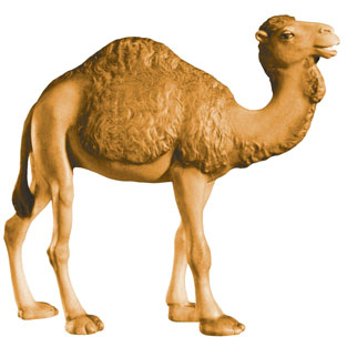 Camello