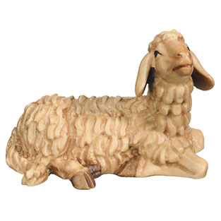Oveja acostada