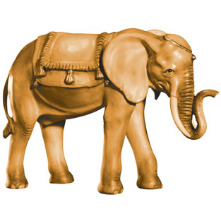 Elefante