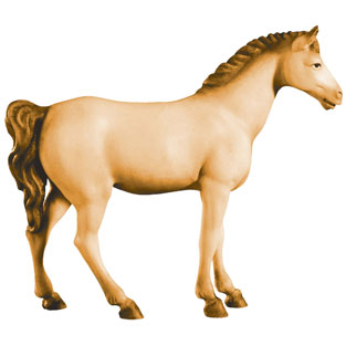 Caballo blanco