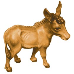 Mula
