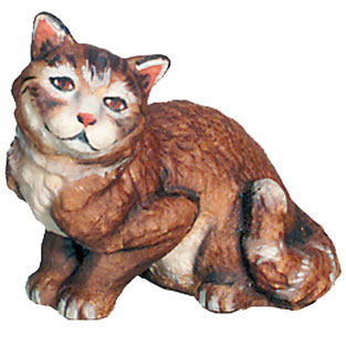 Gato de pie