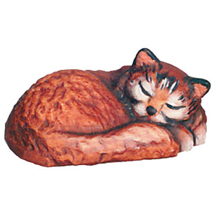 Gato durmiendo